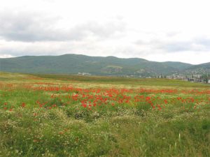 На подступах к Балаклаве.