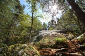 Фонтенбло (Fontainebleau)..