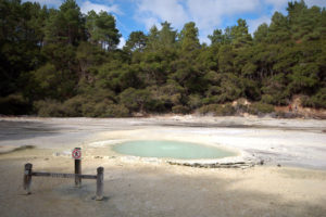 Oyster pool.